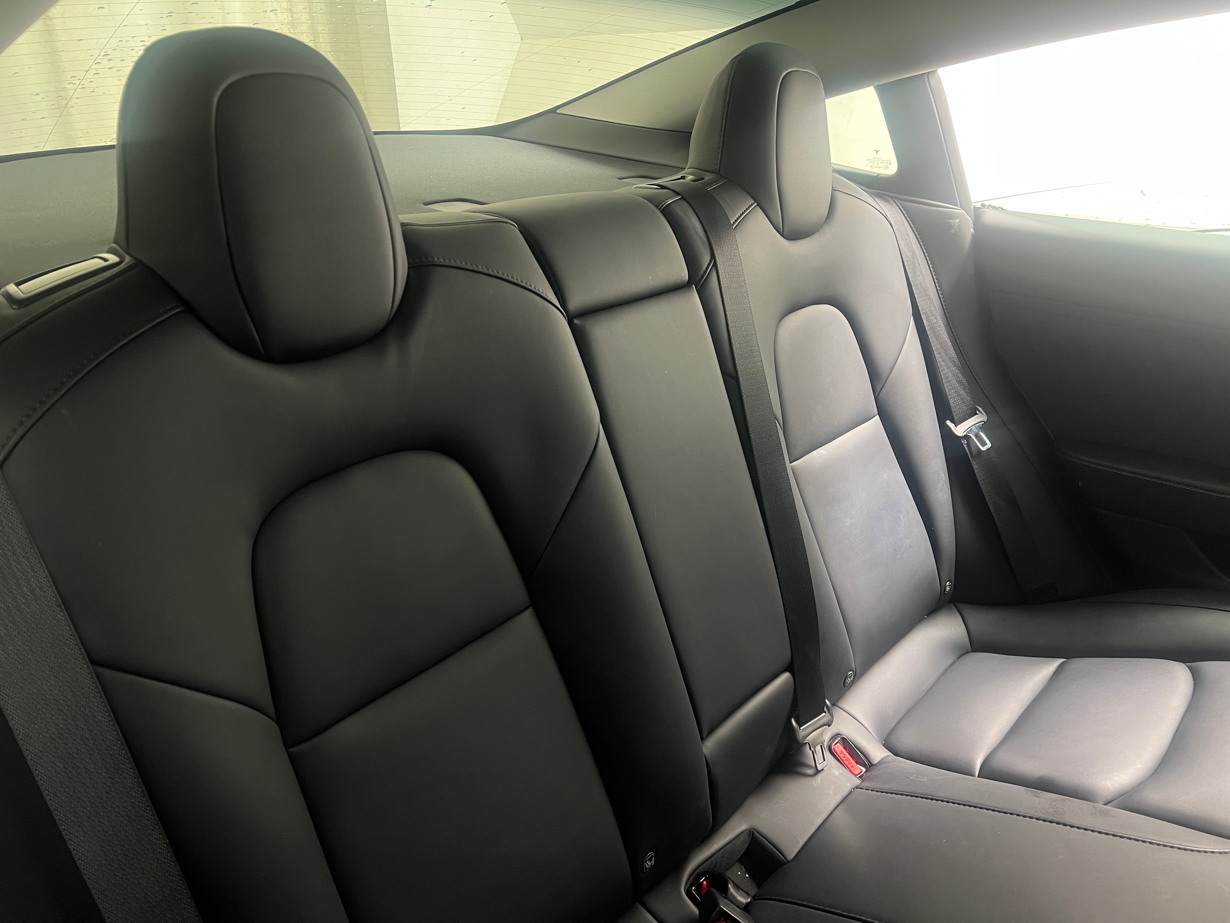 tesla model 3 2023 5YJ3E1EA4PF555535 image tesla model 3 2023 5YJ3E1EA4PF555535 image